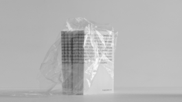 Georgia Harizani is an independent Greek designer specializing in typographic identities, editorial design, and concept-driven branding.