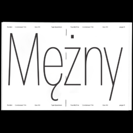 Georgia Harizani is an independent Greek designer specializing in typographic identities, editorial design, and concept-driven branding.