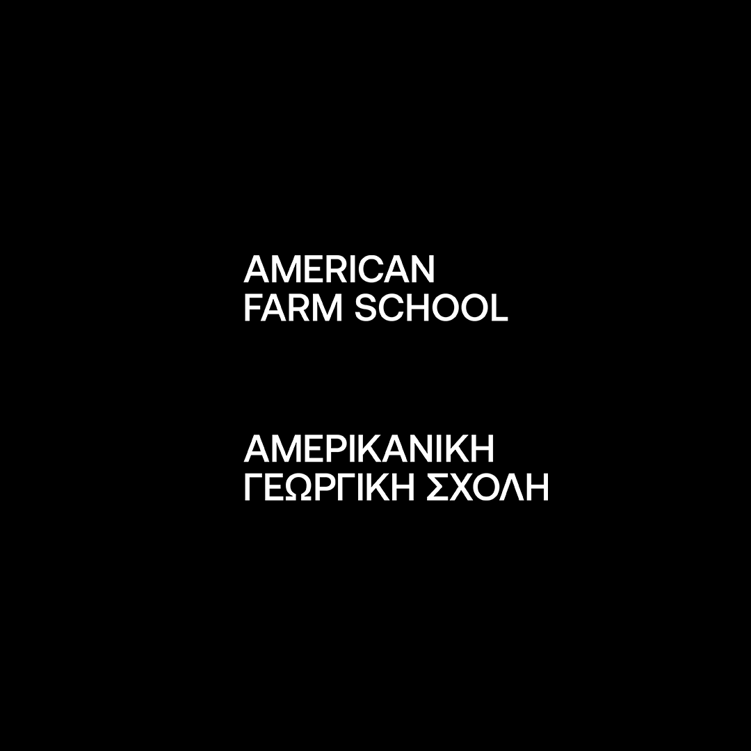 Georgia Harizani is an independent Greek designer specializing in typographic identities, editorial design, and concept-driven branding.