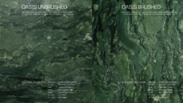 Georgia Harizani is an independent Greek designer specializing in typographic identities, editorial design, and concept-driven branding.