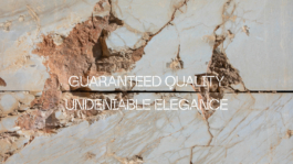 Georgia Harizani is an independent Greek designer specializing in typographic identities, editorial design, and concept-driven branding.