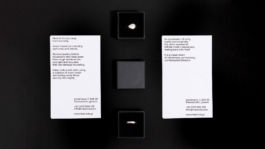 Georgia Harizani is an independent Greek designer specializing in typographic identities, editorial design, and concept-driven branding.