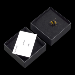 Georgia Harizani is an independent Greek designer specializing in typographic identities, editorial design, and concept-driven branding.