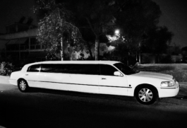 Georgia Harizani is an independent Greek designer specializing in typographic identities, editorial design, and concept-driven branding.