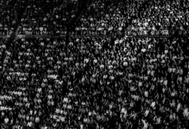 Georgia Harizani is an independent Greek designer specializing in typographic identities, editorial design, and concept-driven branding.