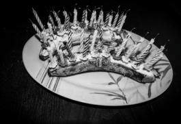 Georgia Harizani is an independent Greek designer specializing in typographic identities, editorial design, and concept-driven branding.