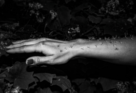 Georgia Harizani is an independent Greek designer specializing in typographic identities, editorial design, and concept-driven branding.