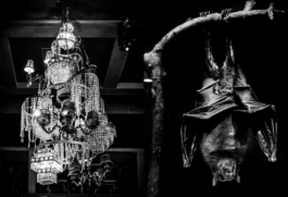 Georgia Harizani is an independent Greek designer specializing in typographic identities, editorial design, and concept-driven branding.