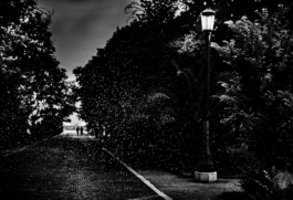 Georgia Harizani is an independent Greek designer specializing in typographic identities, editorial design, and concept-driven branding.